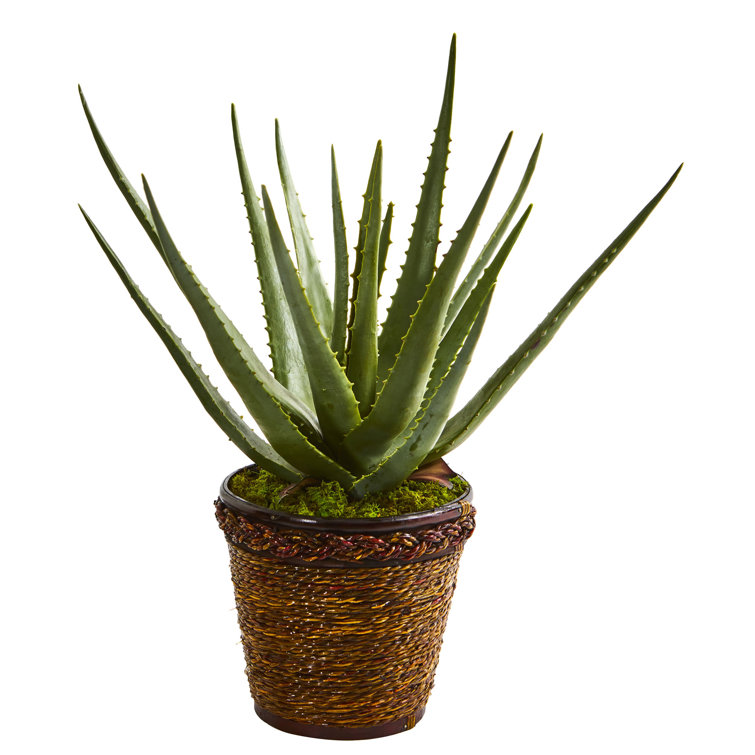 Bay Isle Home 19'' Faux Snake Plant Plant in Basket Wayfair